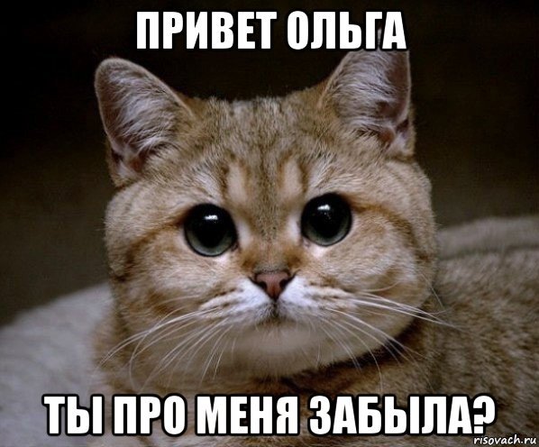 Миша Пидрила