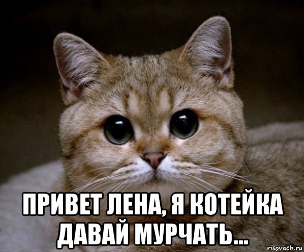 Людочка привет