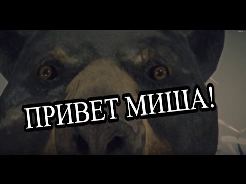 Привет Миша