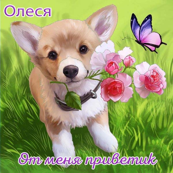 Олеся надпись