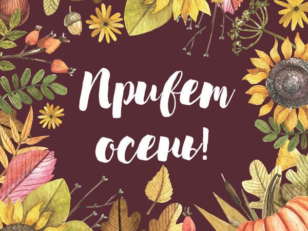 Привет осень привет сентябрь