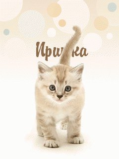 Удачи тебе Мем
