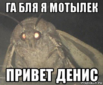 Имя Тимур