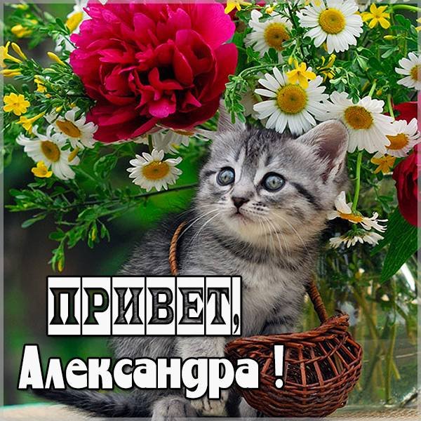 Марине приветик