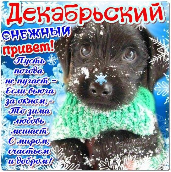 Приветствие мужчине