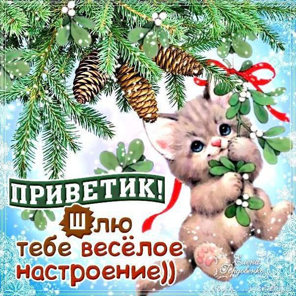 Зимний привет