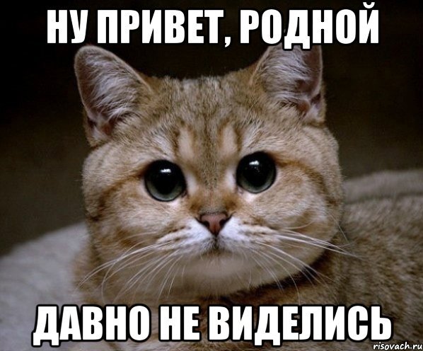 Ну привет родной