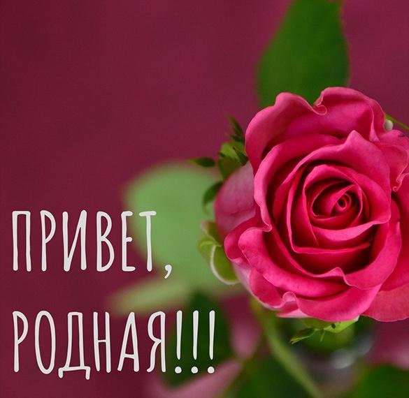 Привет родная