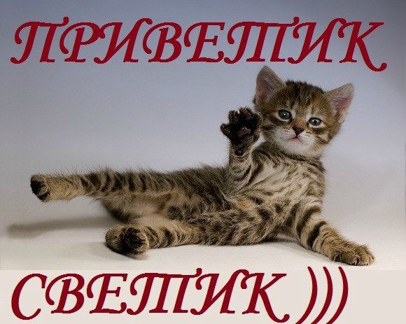 Светик тебе букетик