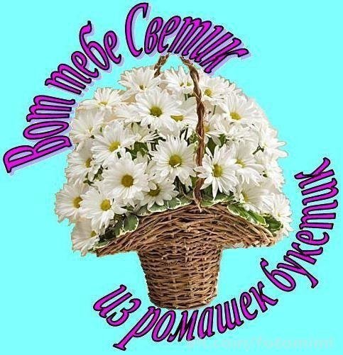 Добрый день света