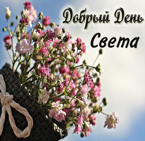 Светик приветик