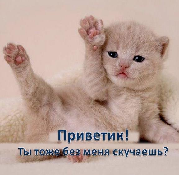 Я соскучилась а ты