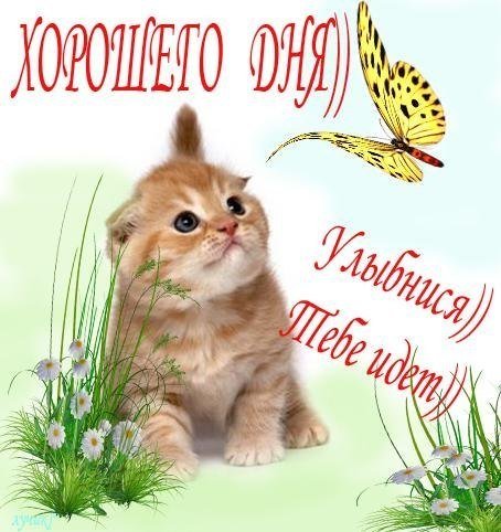 Открытка Аленка