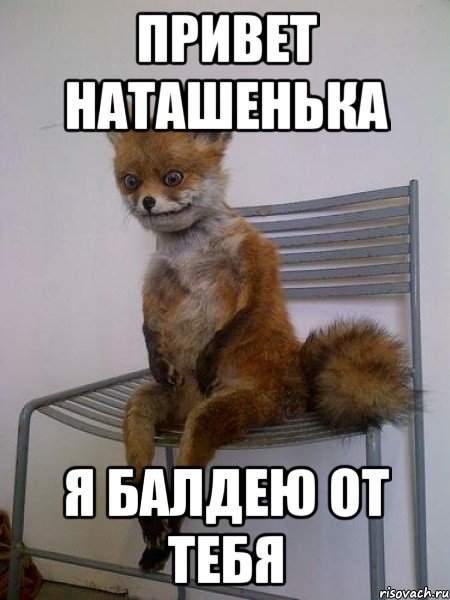 Доброе утро Упоротая лиса