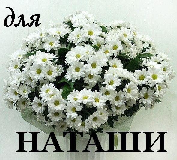 Приветик сестренка