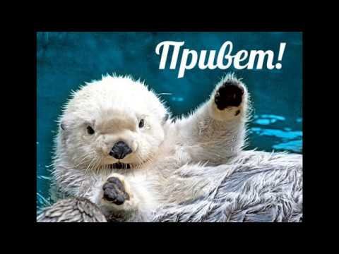 Привет крошка фото