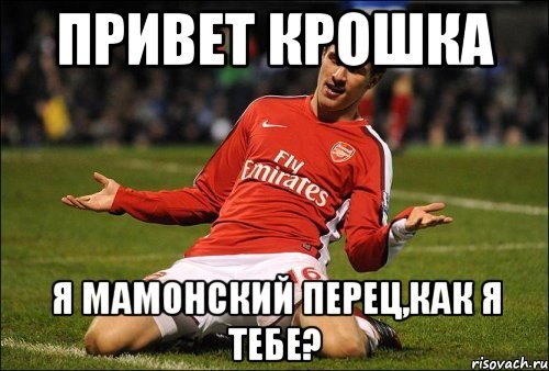 Привет крошка моя