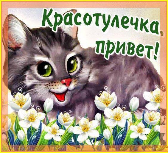 Патрик привет