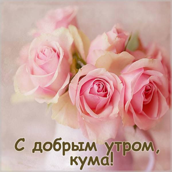 Привет кума