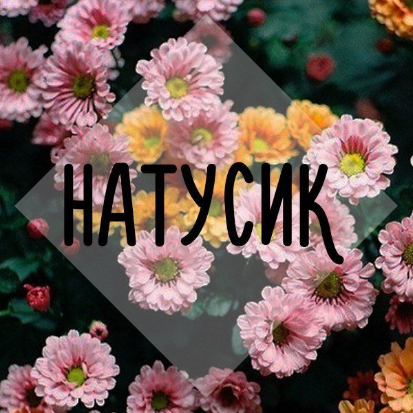Натусик надпись