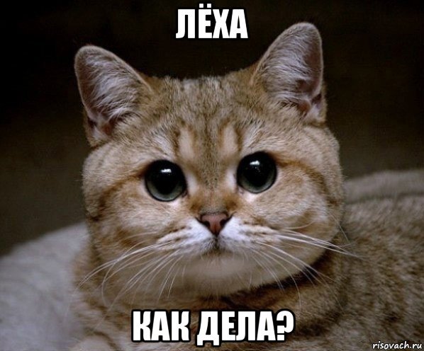 Леха как дела