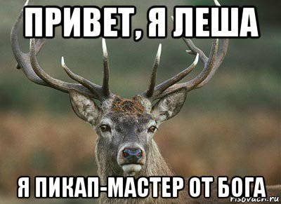 Не расстраивай Мем