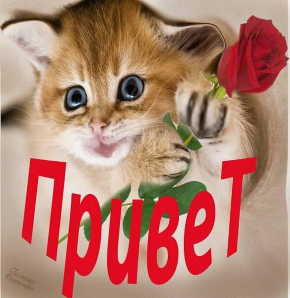 Привет Танюшка картинки