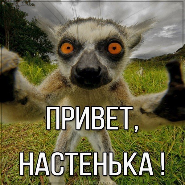 Привет Олег