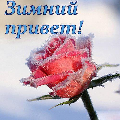Зимний приветик открытки