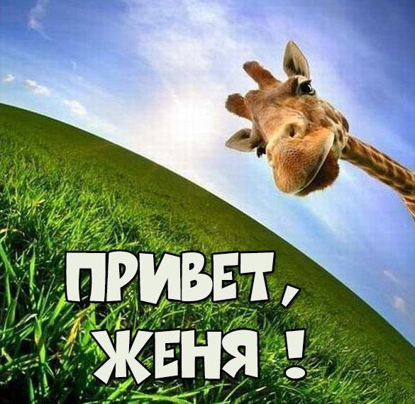 Привет Димочка