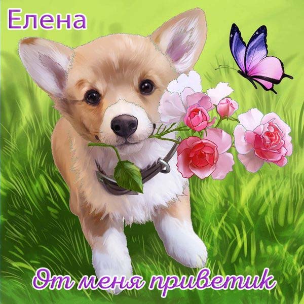 Приветствие с цветами