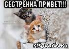 Привет сестренка