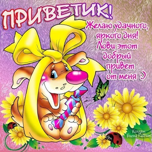 Добрый день сестренка