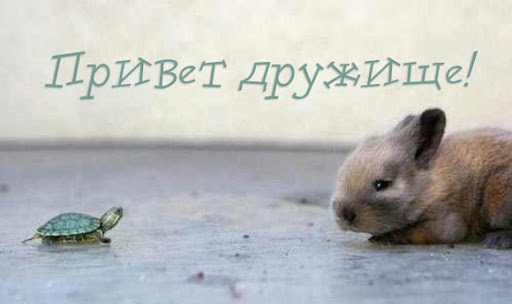 Привет дружище