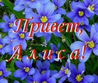 Алиса голосовой поговорить с Алисой
