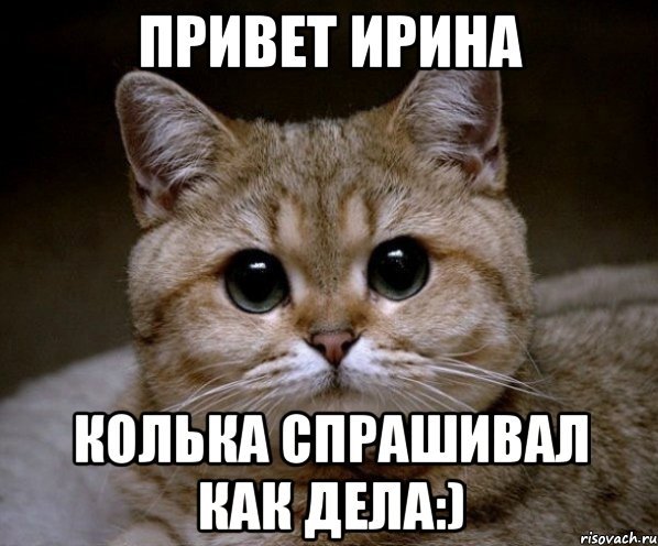Привет Ирочка открытки