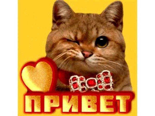 Открытки для Ирины прикольные