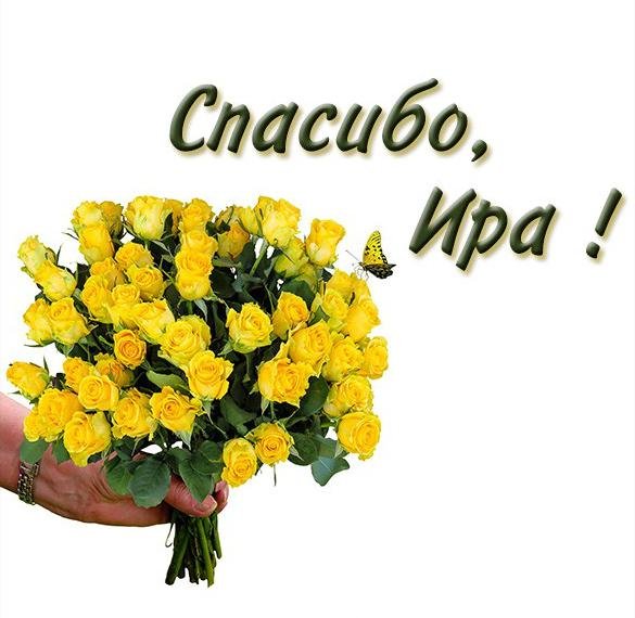 Иришка анимация