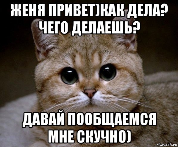Привет Евгений
