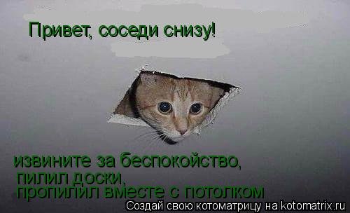 Привет сосед открытки