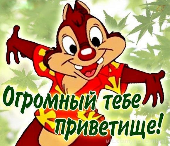 Открытки приветик от меня