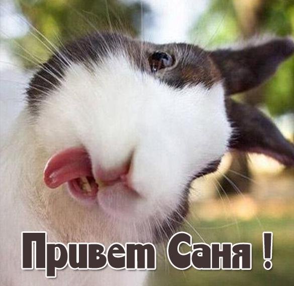 Черный Властелин Саня