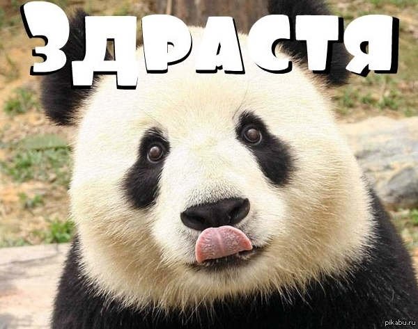 Прикольные приветствия