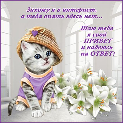 Доброе утро Нина