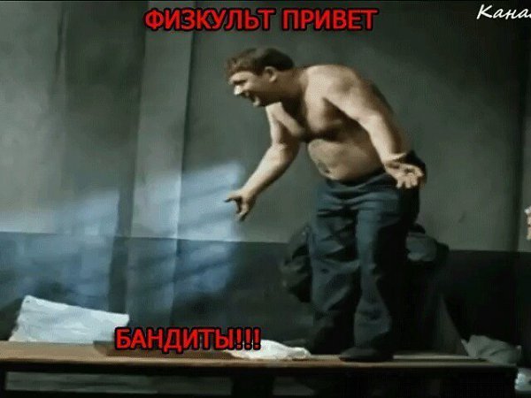 Привет я кот
