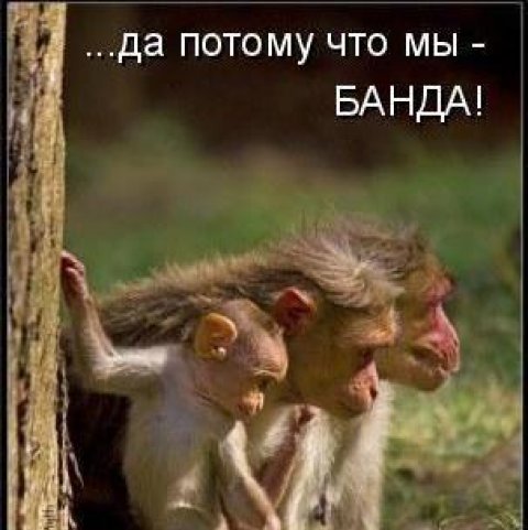 Здарова бандиты Мем