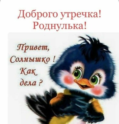 Здравствуй, солнышко