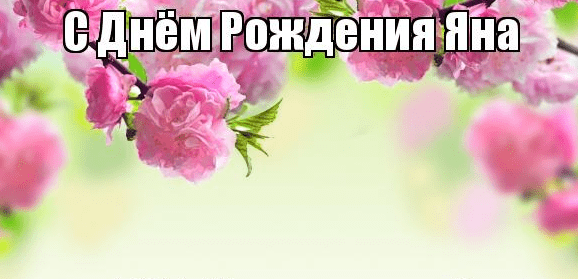 Картинки привет яна (43 фото)