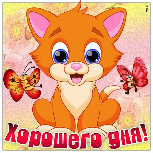 Привет банда картинки смешные
