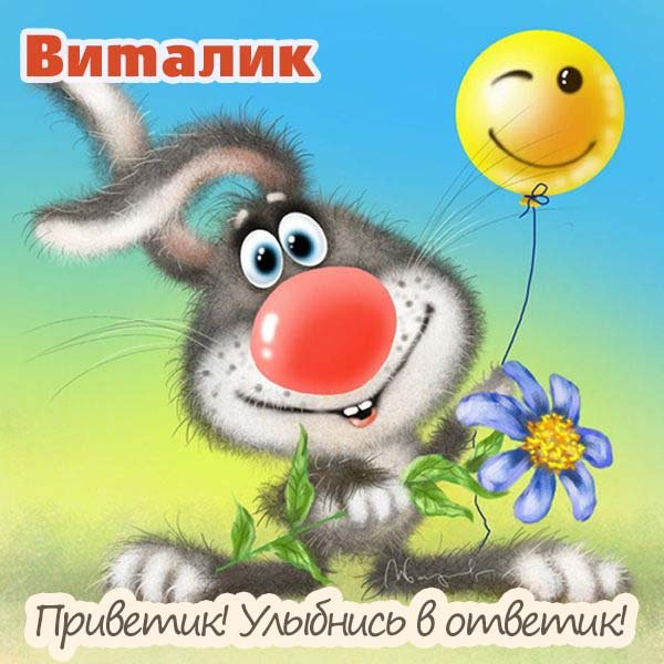 Имена для зайчиков